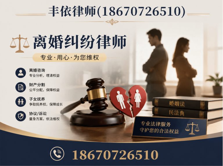 岳麓区丰依律师团队展示图